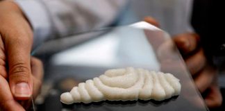 En China cultivan los primeros filetes de pescado impresos en 3D
