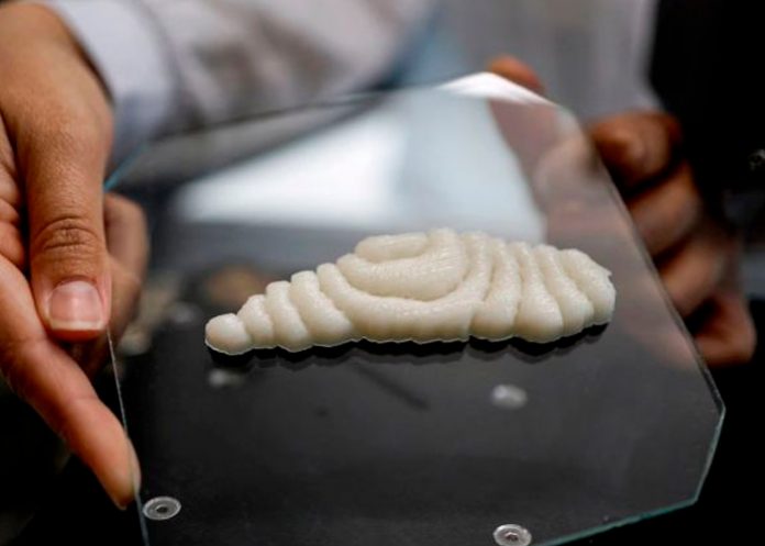 En China cultivan los primeros filetes de pescado impresos en 3D