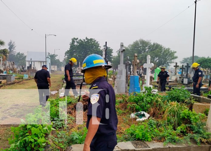 Inspeccionan cementerios en Managua, para eliminar enjambres de abejas