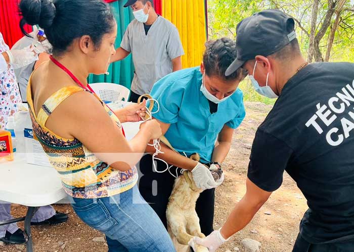 Sistema penitenciario en Matagalpa realiza jornada Canina 