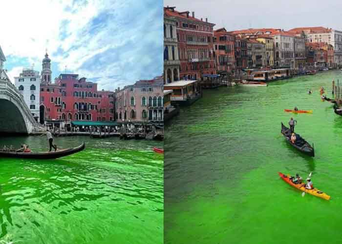 El agua del Gran Canal de Venecia se tiñe de verde