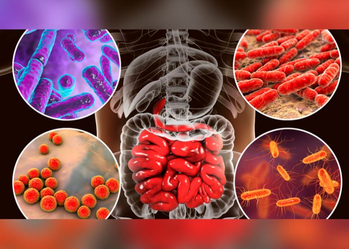 ¿Qué es la microbiota y cómo afecta al organismo humano?