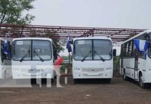 Unidades de transporte colectivo urbano brinda mejores condiciones a población de León