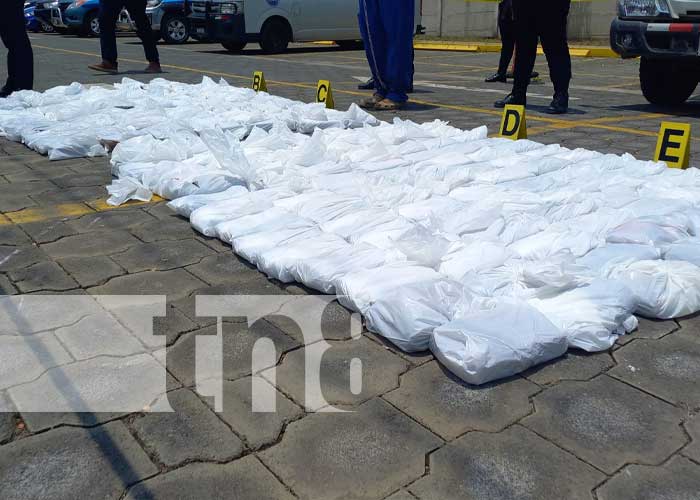 Golpe contundente al narcotráfico en León 