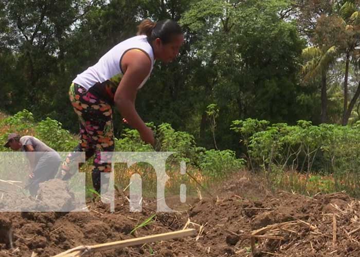 Ciclo agrícola: Productores nicaragüenses se preparan para el invierno