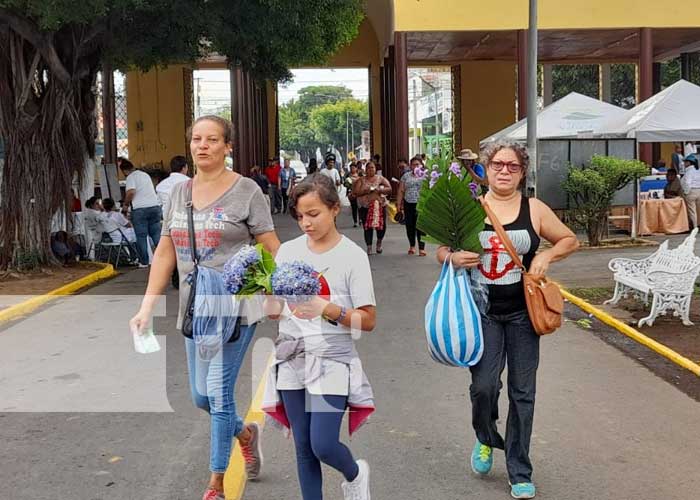 Foto: Visita a cementerios este 30 de mayo, Día de las Madres / TN8