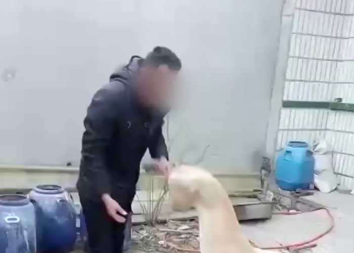 Hombre encadenado y golpeado por maltratar a perro