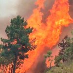 Infernales llamas de incendio en España saca de su casa a 700 personas