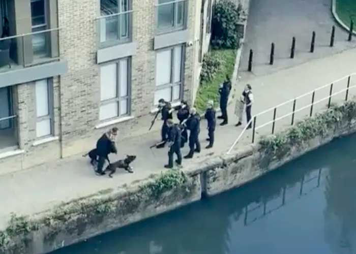 Sin piedad policías matan a balazos a dos perros en una calle de Londres