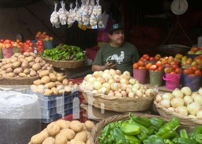 Foto: Monitoreo de precios en mercados de Nicaragua / TN8