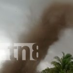 Foto: Nubes de "chayules" invaden una comunidad en Rivas / TN8