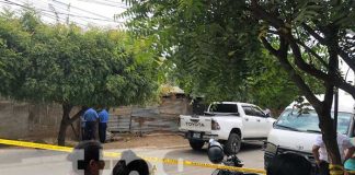 Foto: "Pucho Gallina" capturado por matar a su "amigo" en Managua / TN8