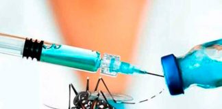 ¡Buenas nuevas! Científicos de Nicaragua y Rusia elaboraron una vacuna contra el dengue