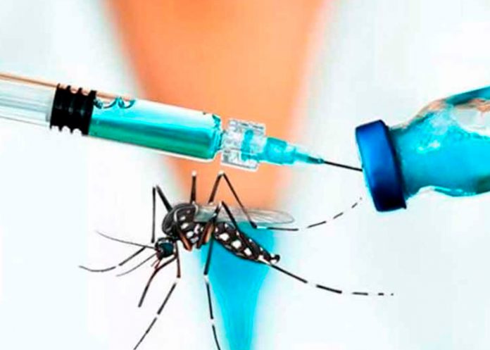 ¡Buenas nuevas! Científicos de Nicaragua y Rusia elaboraron una vacuna contra el dengue