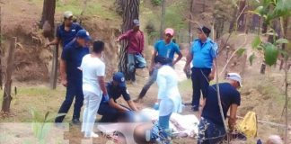 Foto: Hombre muere mientras cortaba un árbol en San Fernando, Nueva Segovia / TN8