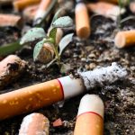 OMS impulsa campaña para que productores de tabaco cambien de cultivo