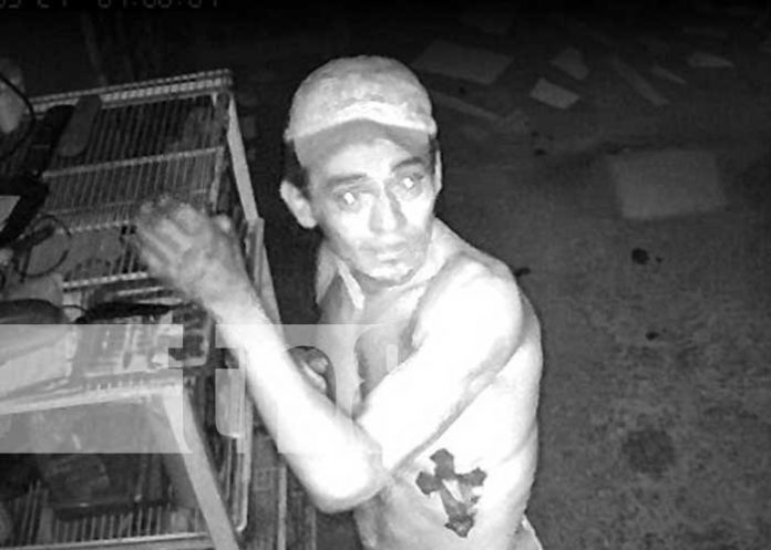 Foto: Captan a ladrón robando un taller en Managua / TN8