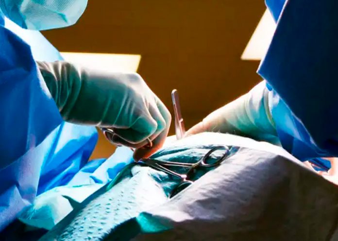 Capturan a 21 desalmados por tráfico de órganos en hospitales de Turquía