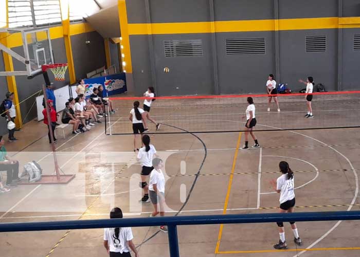 Foto: Festival de voleibol sala con el MINED / TN8