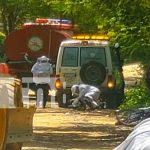 Cinco personas sufren picaduras de abejas africanizadas en Mozonte