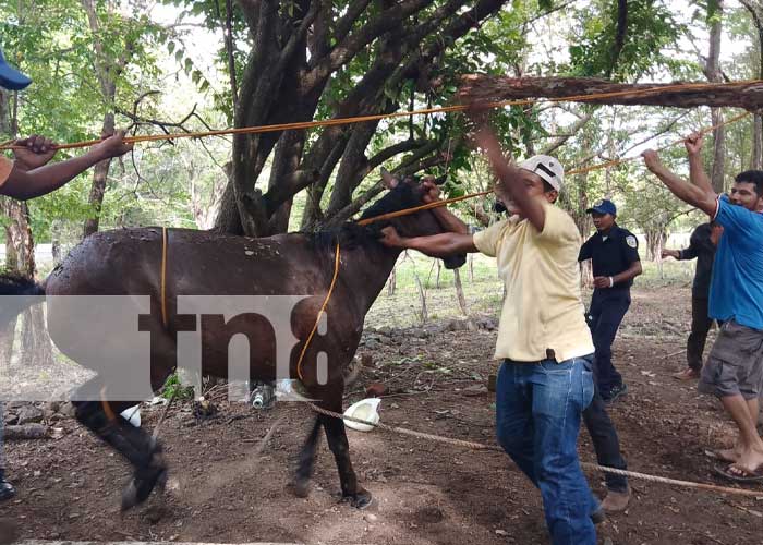 Bomberos de Acoyapa trabajaron por rescatar un caballo de un pozo de una finca