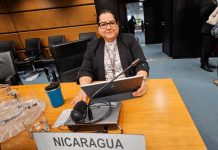 Nicaragua participa en Junta de Gobernadores OIA