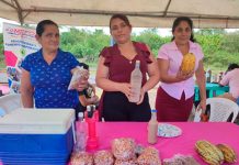 Productores participan en Festival departamental del cacao en Río San Juan