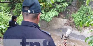 Foto: Hombre y su caballo se salvan de morir tras ser arrastrados por corriente de agua en Managua / TN8