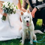 Invitación de boda se viralizó, “no quiere mocosos, pero sí mascotas“