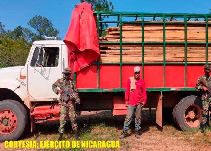 Destacamento Militar Norte ocupa madera que era trasladado ilegalmente en Bilwi