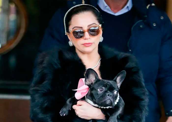 Lady Gaga no pagará recompensa de sus perros a mujer "sinvergüenza"
