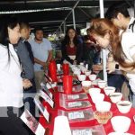 Foto: Realizan en Matagalpa la selección de la taza de la excelencia del café / TN8