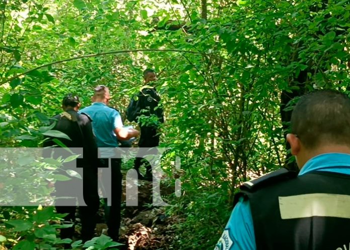 Hombre muere al caer de un árbol mientras cortaba aguacates en Diriamba