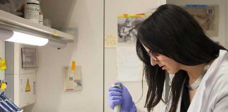 Científicos buscan nuevas soluciones para la endometriosis