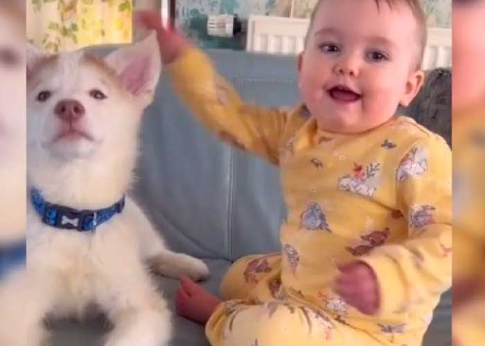 Amistad entre una bebé y un perrito conmueve las redes