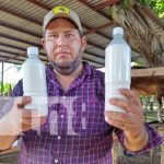 Foto: Producción de leche de cabra en Mateare / TN8