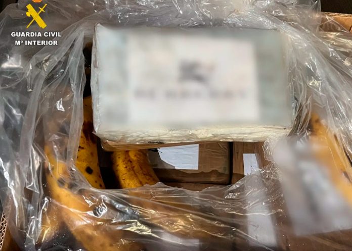 Cae en España organización criminal que traficaba cocaína oculta entre bananas