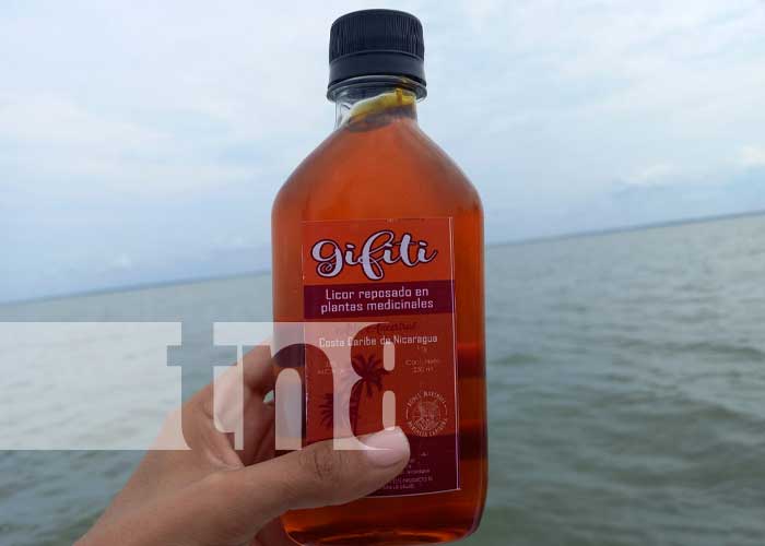 Foto: Gifiti, licor ancestral del Caribe de Nicaragua / TN8
