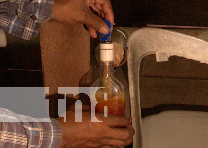 Foto: Procesamiento del popular licor caribeño / TN8