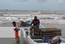 Foto: Se viene temporada de pesca de langosta en el Caribe / TN8
