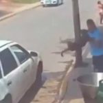 ¡Indignante! Despiadado tiró a perrito en paila con aceite hirviendo en México