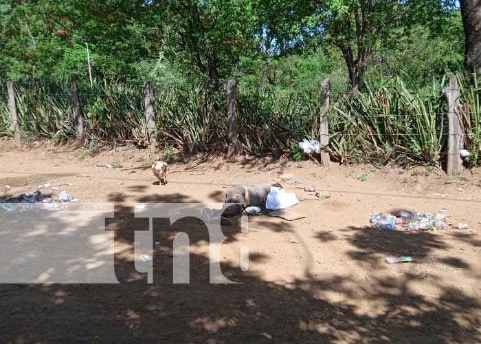 Foto: Muerte en una carrera de patos en Diriamba / TN8