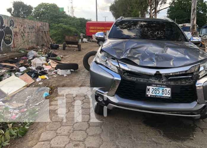 Foto: Yegua termina desquebrajada tras supuesta irresponsabilidad de conductor en Pista El Dorado / TN8