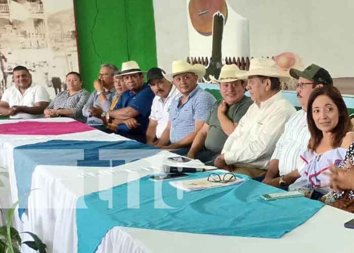 Foto: Matagalpa anuncia diferentes actividades en el "Festival Vaquero" / TN8