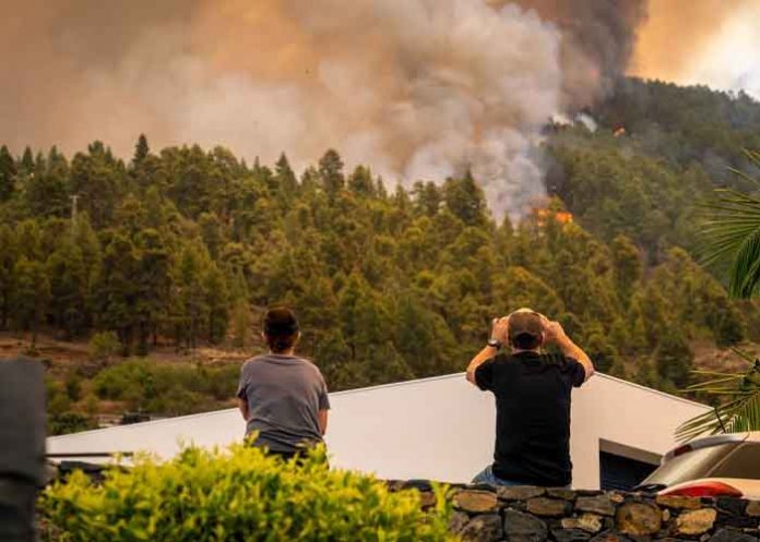 Foto: Un incendio forestal ha quemado más de 4.500 hectáreas en La Palma, España / Cortesía