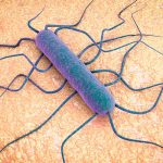 En Estados Unidos el brote de una bacteria deja varios muertos