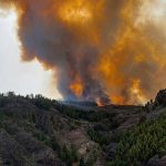 ¡Descontrolado! 200 hectáreas de bosque arden el fuego en Gran Canaria
