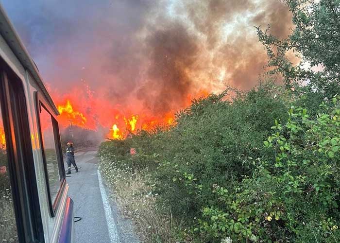 Varios incendios forestales consumen el sur de Europa