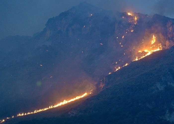 Varios incendios forestales consumen el sur de Europa