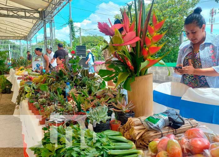 Inauguran "Festival Nacional Nicaragua Exótica" con más de 200 emprendedores
